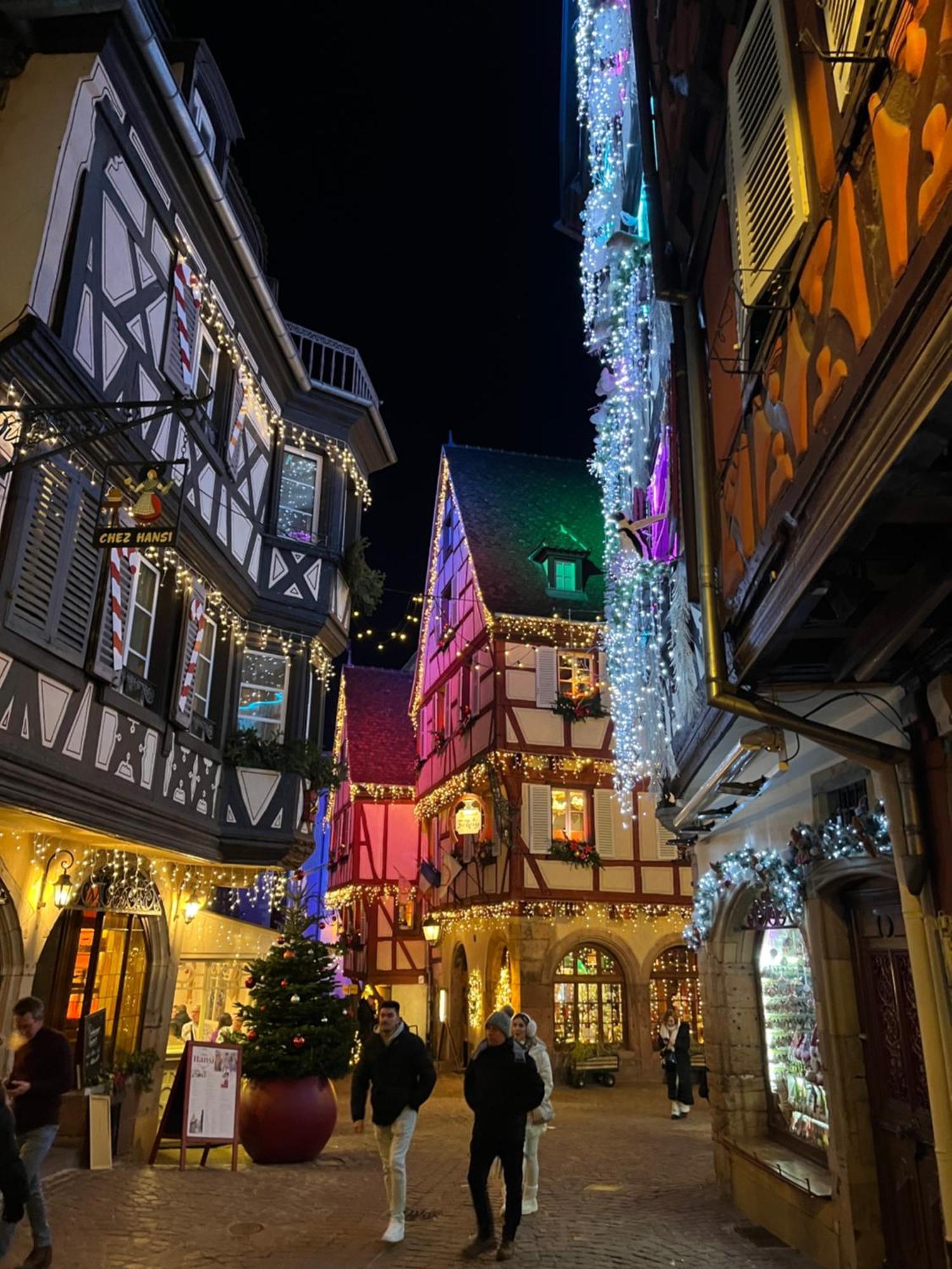 Le Schdorky Daire Colmar Dış mekan fotoğraf